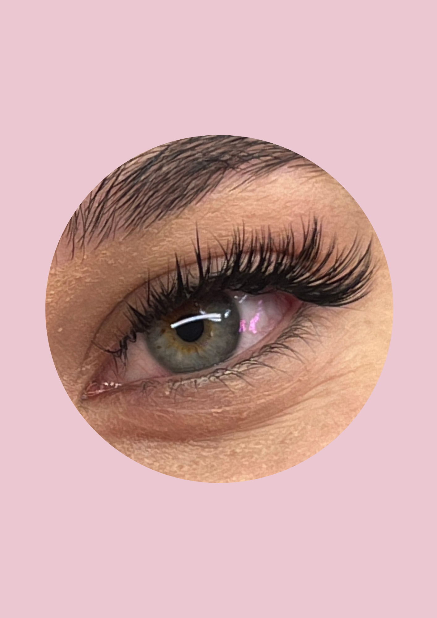 Pose Complète Trendy Effects - WISPY / FOX / LINER / KIM K / WET SET